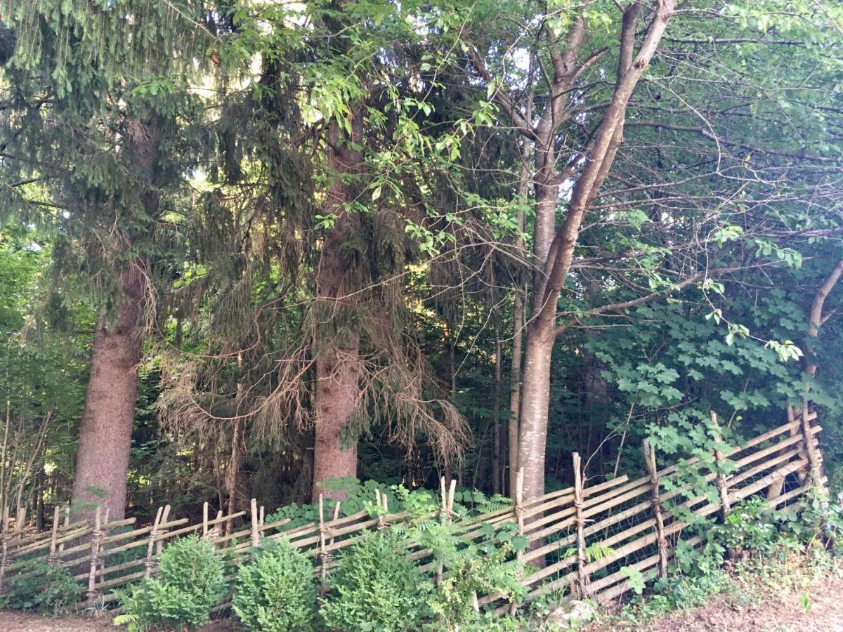 Naturforsthaus Ferienwohnung für tierverbundene Menschen Preitenegg Exterior foto