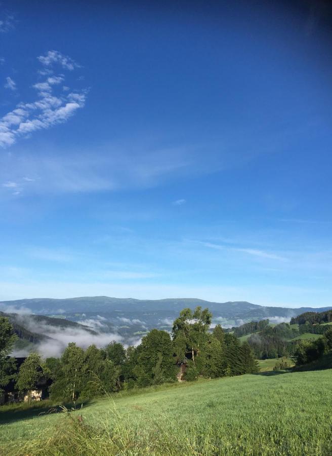 Naturforsthaus Ferienwohnung für tierverbundene Menschen Preitenegg Exterior foto