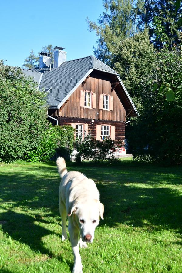 Naturforsthaus Ferienwohnung für tierverbundene Menschen Preitenegg Exterior foto